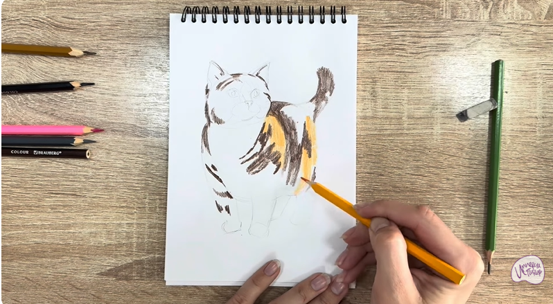 Рисуем Кошка породы "Манчкин"