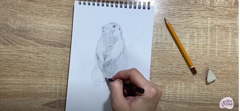 Рисуем Суслик