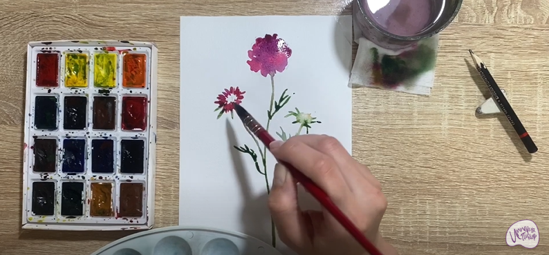 Рисуем Цветок "Скабиоза"