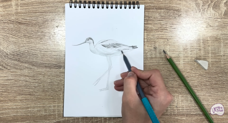 Рисуем Шилоклювка