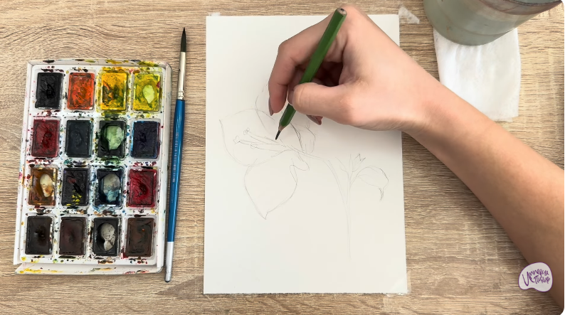 Рисуем Бугенвиллея