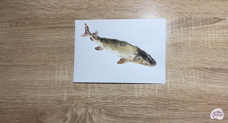 Рисуем Стерлядь