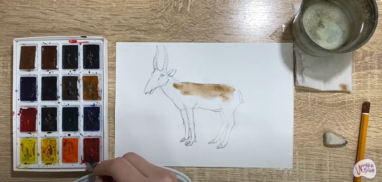 Рисуем Сайгак