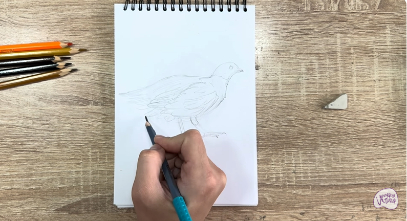 Рисуем Канадская дикуша