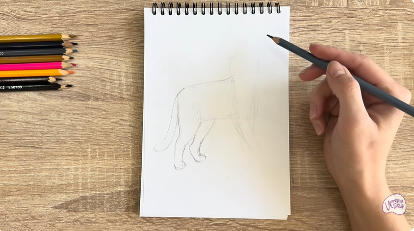 Рисуем Кошка Бурмилла