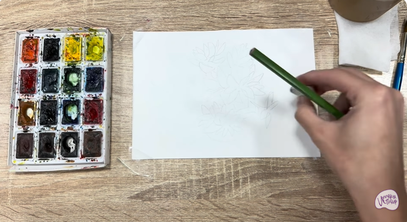 Рисуем Очиток