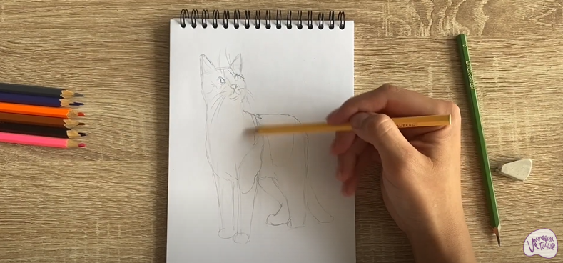 Рисуем Кот породы "японский бобтейл"