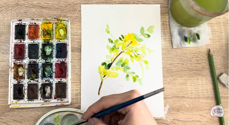 Рисуем Ветка караганы