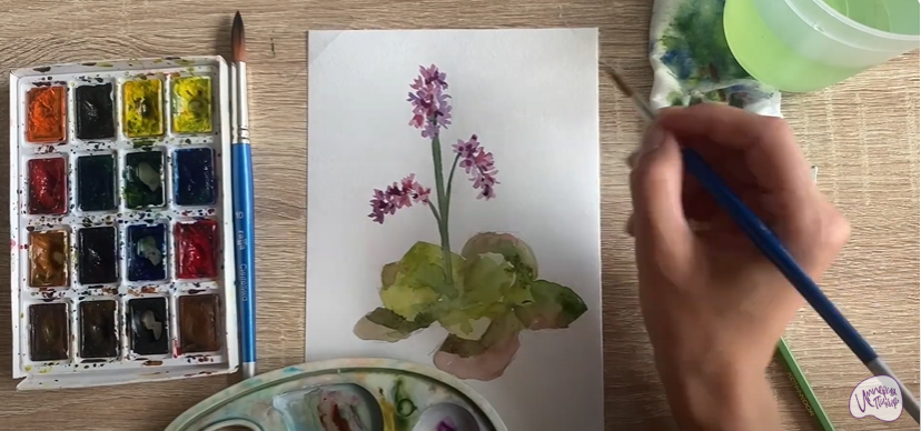 Рисуем Бадан
