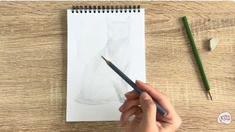 Рисуем Бурманский кот