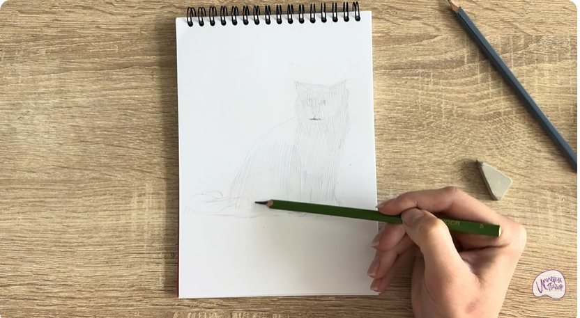 Рисуем Кошка породы Рэгдолл