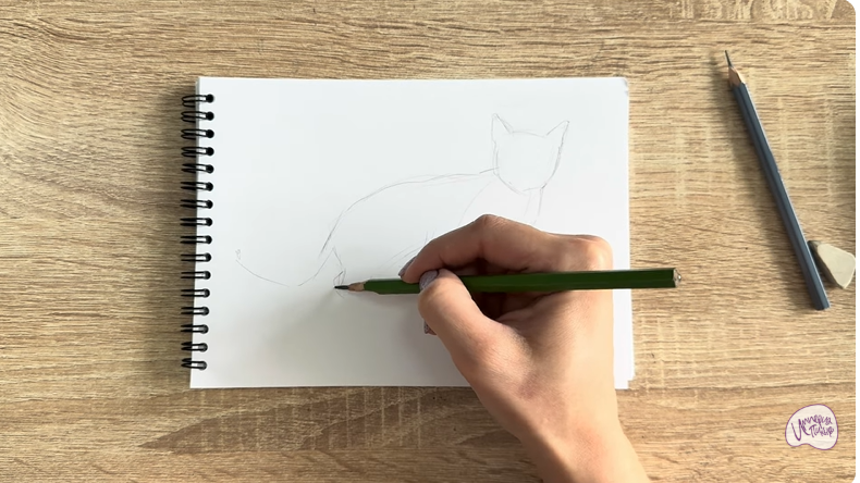 Рисуем Бомбейская кошка