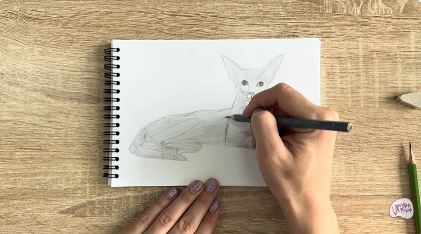 Рисуем Ориентальная кошка