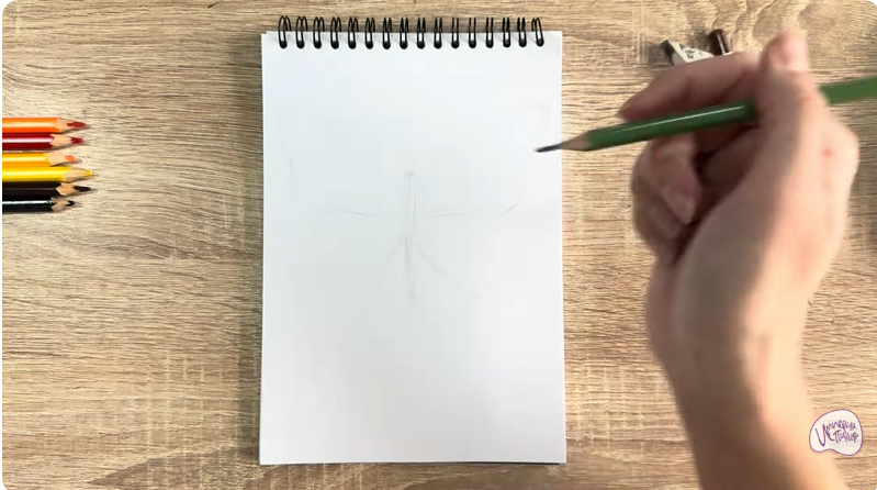 Рисуем Малинница обыкновенная