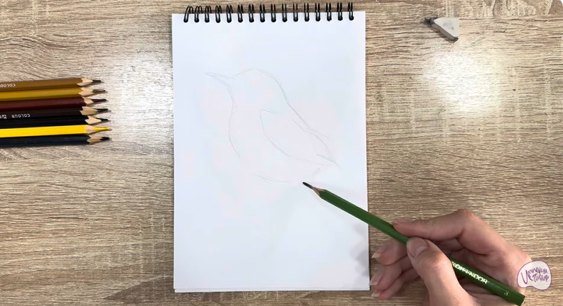 Рисуем Крапивник