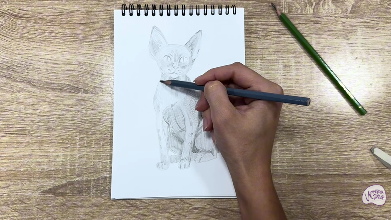 Рисуем Девон Рекс