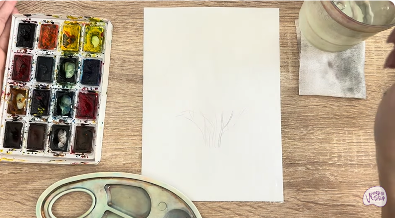 Рисуем Саженец бирючины