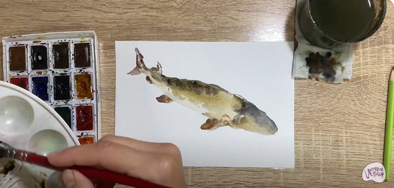 Рисуем Стерлядь