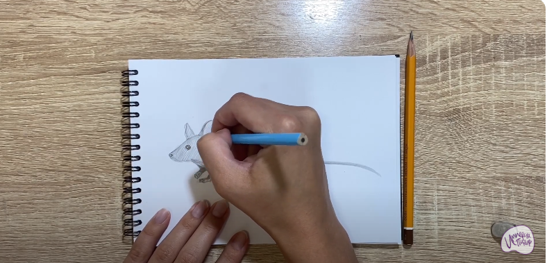 Рисуем Мышь