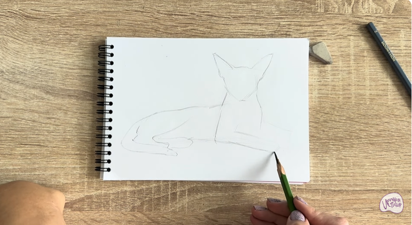 Рисуем Ориентальная кошка