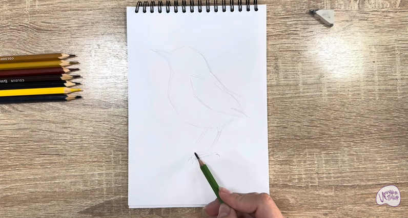 Рисуем Крапивник