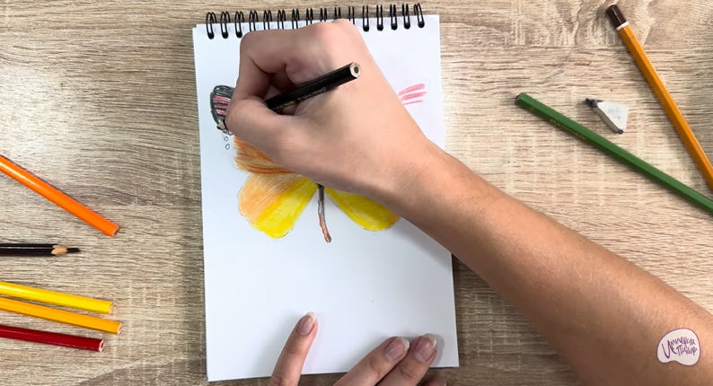 Рисуем Малинница обыкновенная