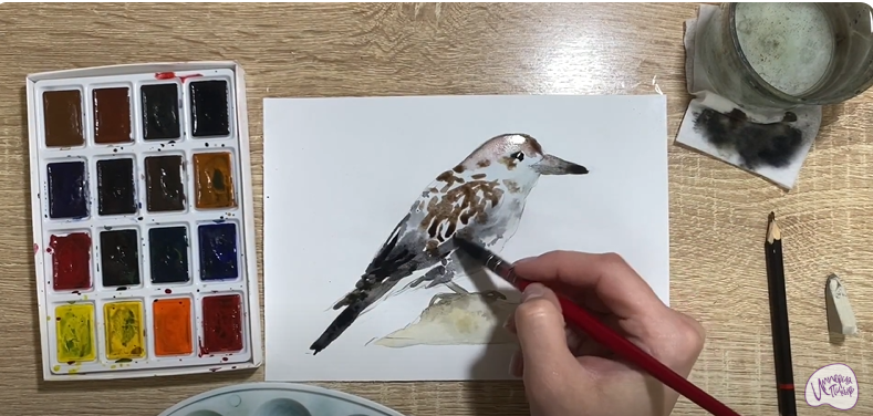 Рисуем Кедровка