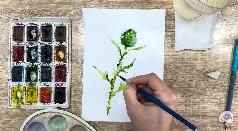 Рисуем Бодяк