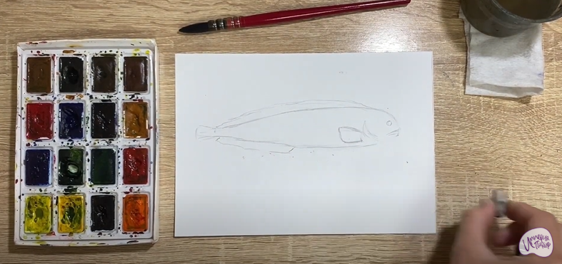 Рисуем Зубатка пёстрая