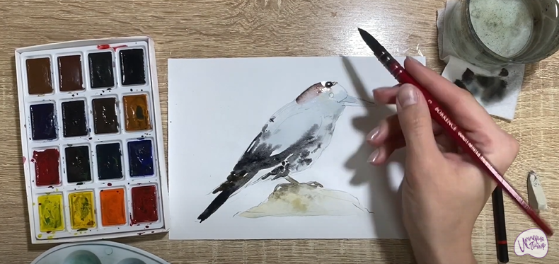 Рисуем Кедровка