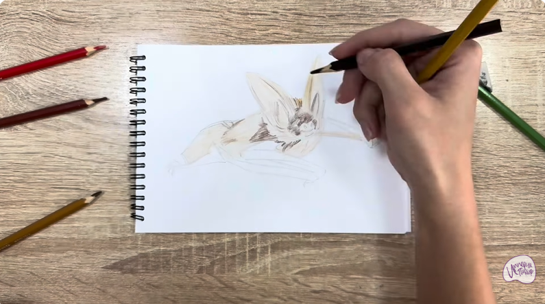 Рисуем Бурый ушан