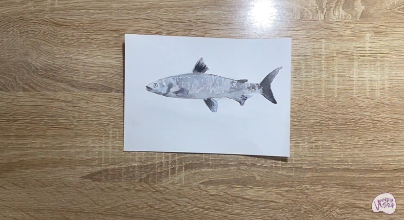 Рисуем Байкальский омуль