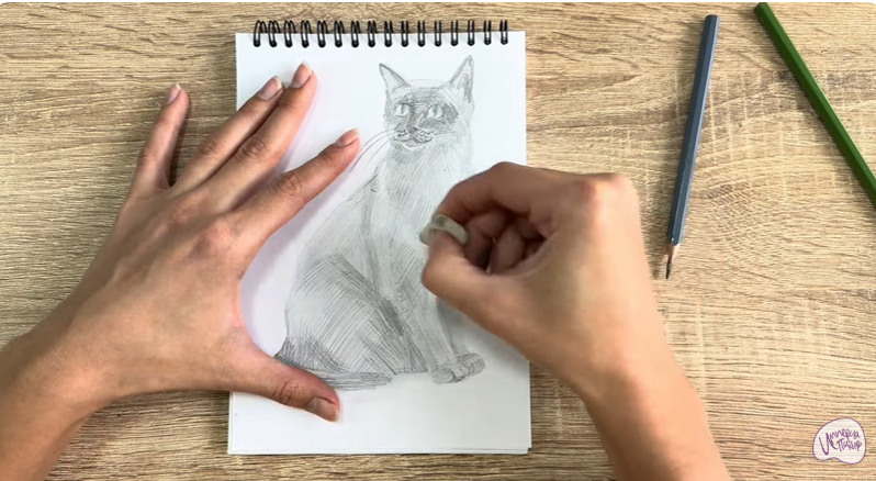 Рисуем Бурманский кот