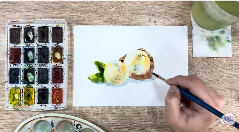 Рисуем Макадамия