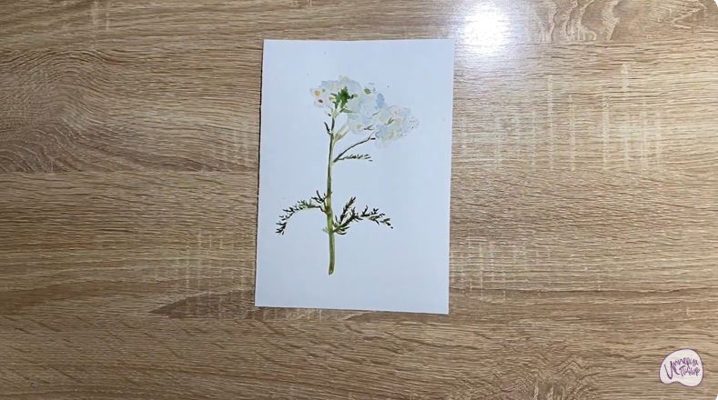 Рисуем Тысячелистник