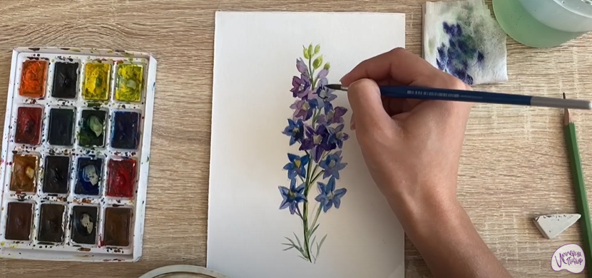 Рисуем Живокость