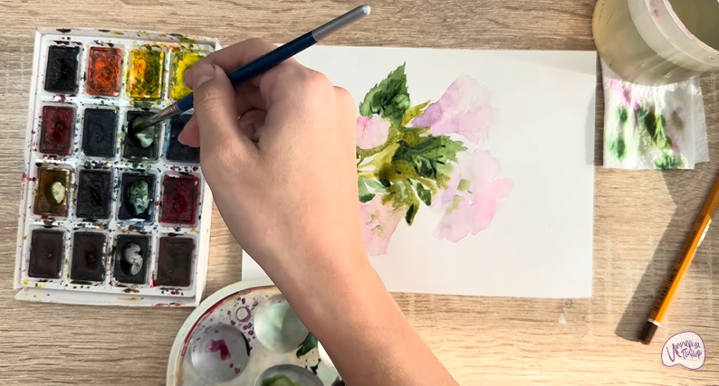 Рисуем Алтей лекарственный