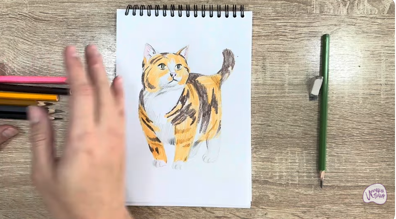 Рисуем Кошка породы "Манчкин"