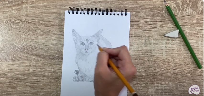 Рисуем Балинезийская кошка