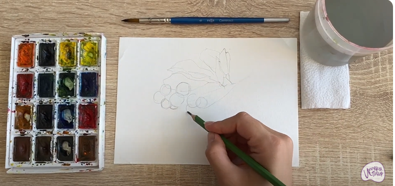 Рисуем Ирга