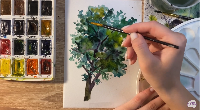 Рисуем Дерево бук