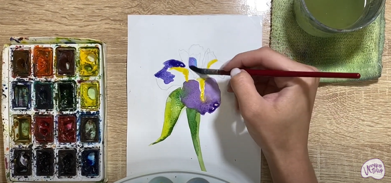 Рисуем Ирис