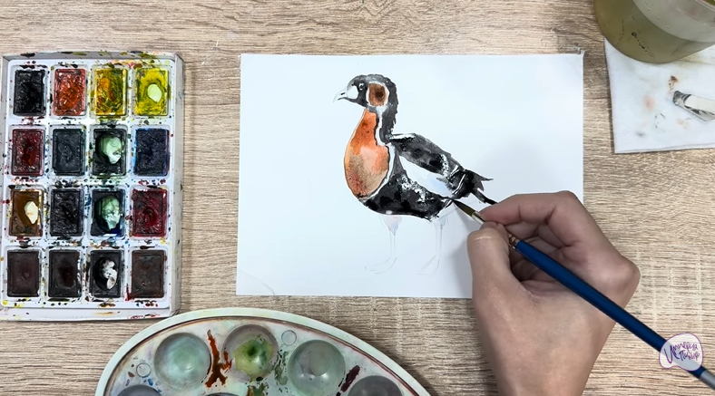 Рисуем Краснозобая казарка