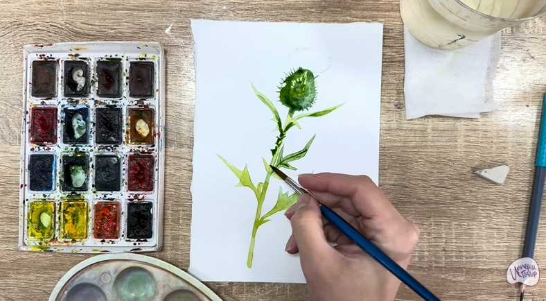 Рисуем Бодяк