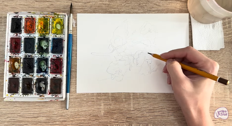 Рисуем Алтей лекарственный