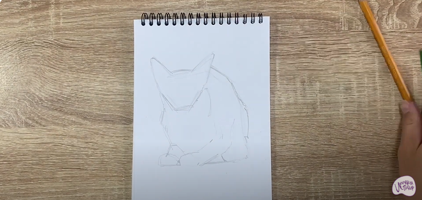 Рисуем Балинезийская кошка
