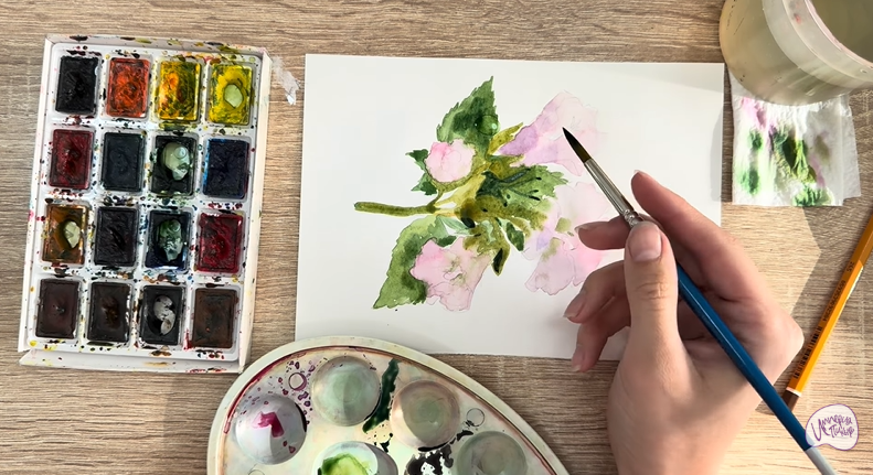 Рисуем Алтей лекарственный