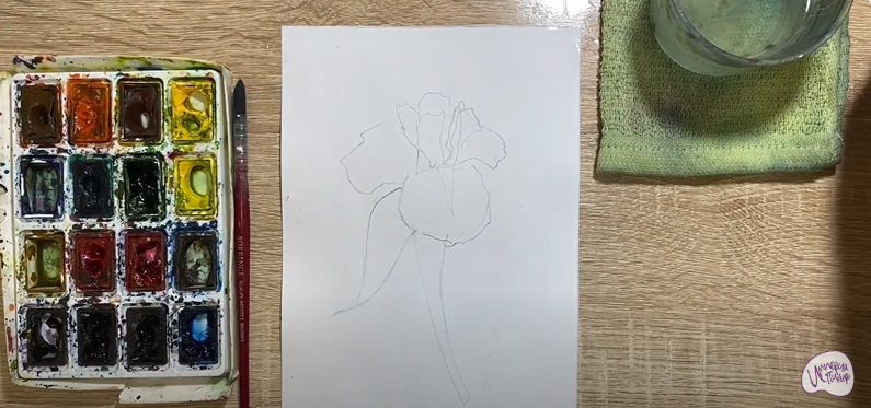 Рисуем Ирис