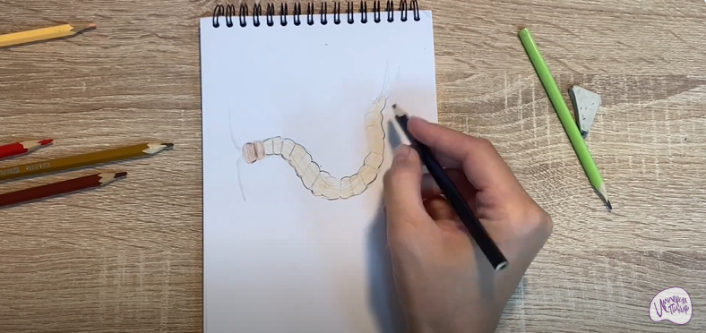Рисуем Сколопендра