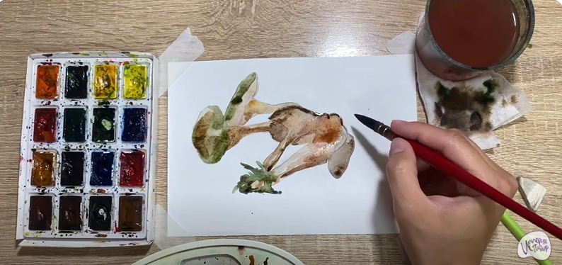 Рисуем Аскокорине торфяная